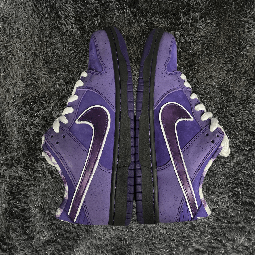 Dunk SB Low Concepts Purple Lobster Special Box & Laces (De uso) - Urban Utility