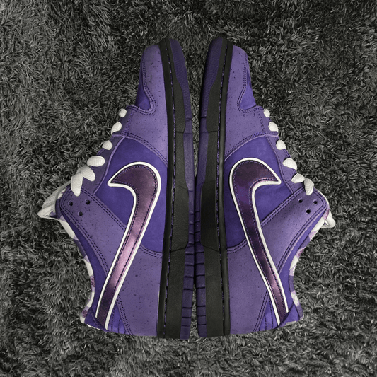 Dunk SB Low Concepts Purple Lobster Special Box & Laces (De uso) - Urban Utility