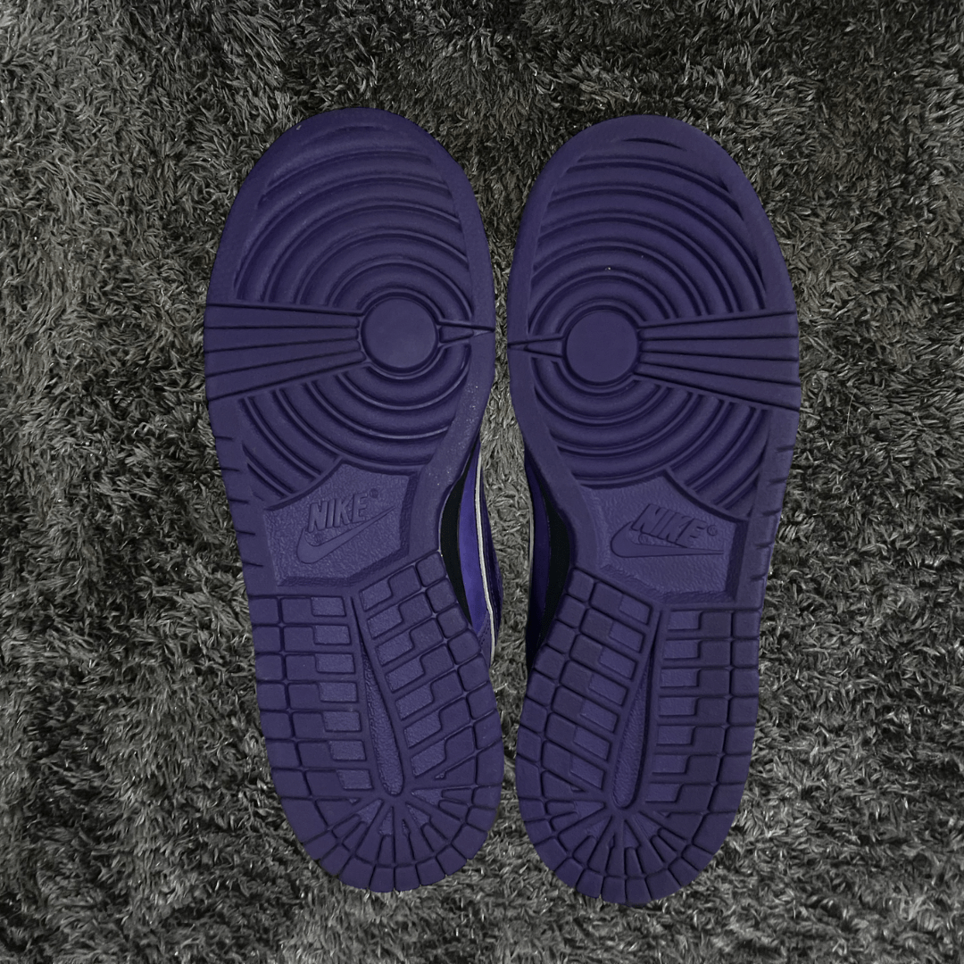 Dunk SB Low Concepts Purple Lobster Special Box & Laces (De uso) - Urban Utility