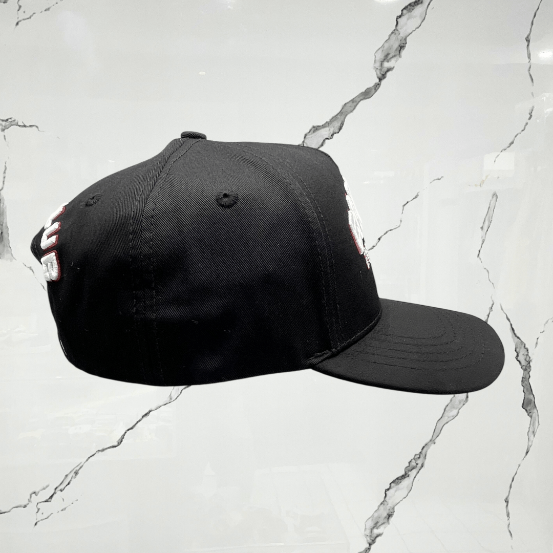 Fino Backpack Boyz University Cap - Urban Utility