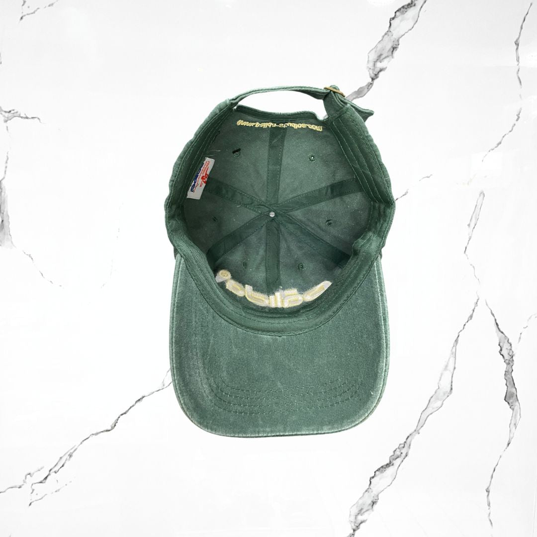 Palida Dad Hat Box Logo Verde Bandera