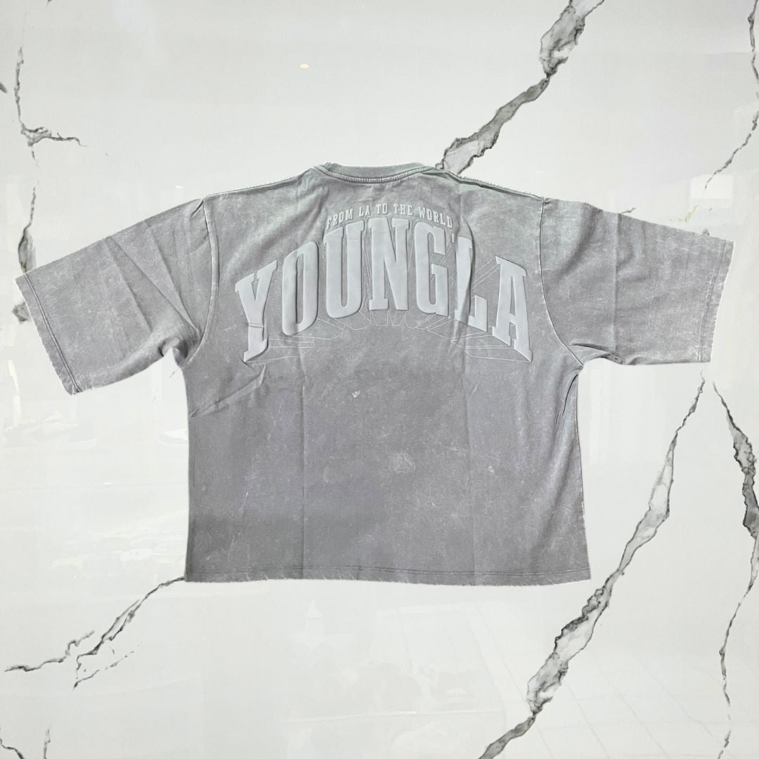YoungLA Foundation Cropped Tees Grey Wash T-shirt