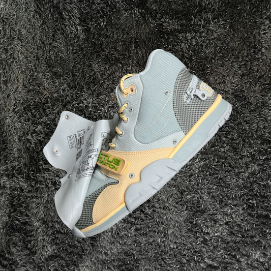 Air Trainer Travis Scott Grey Haze