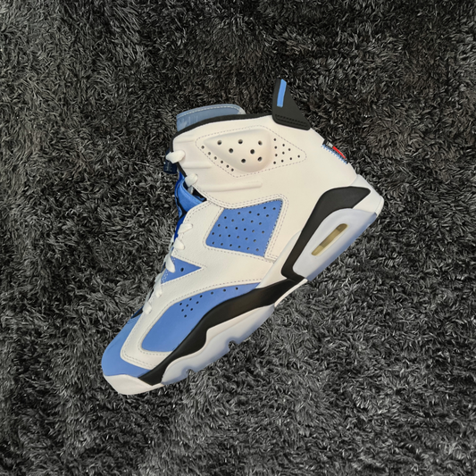 Jordan 6 UNC