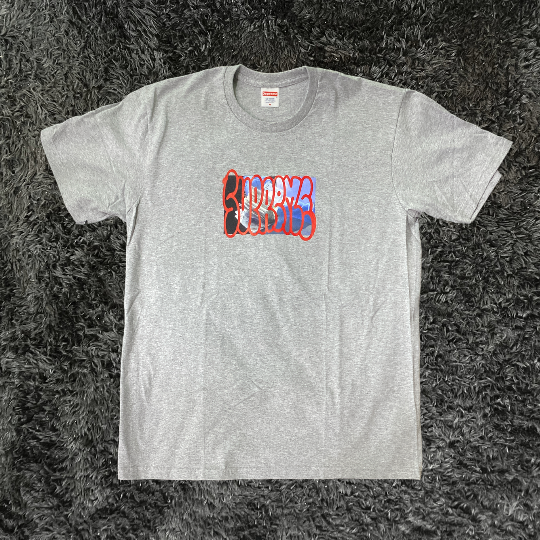 Supreme Payment Grey T-shirt