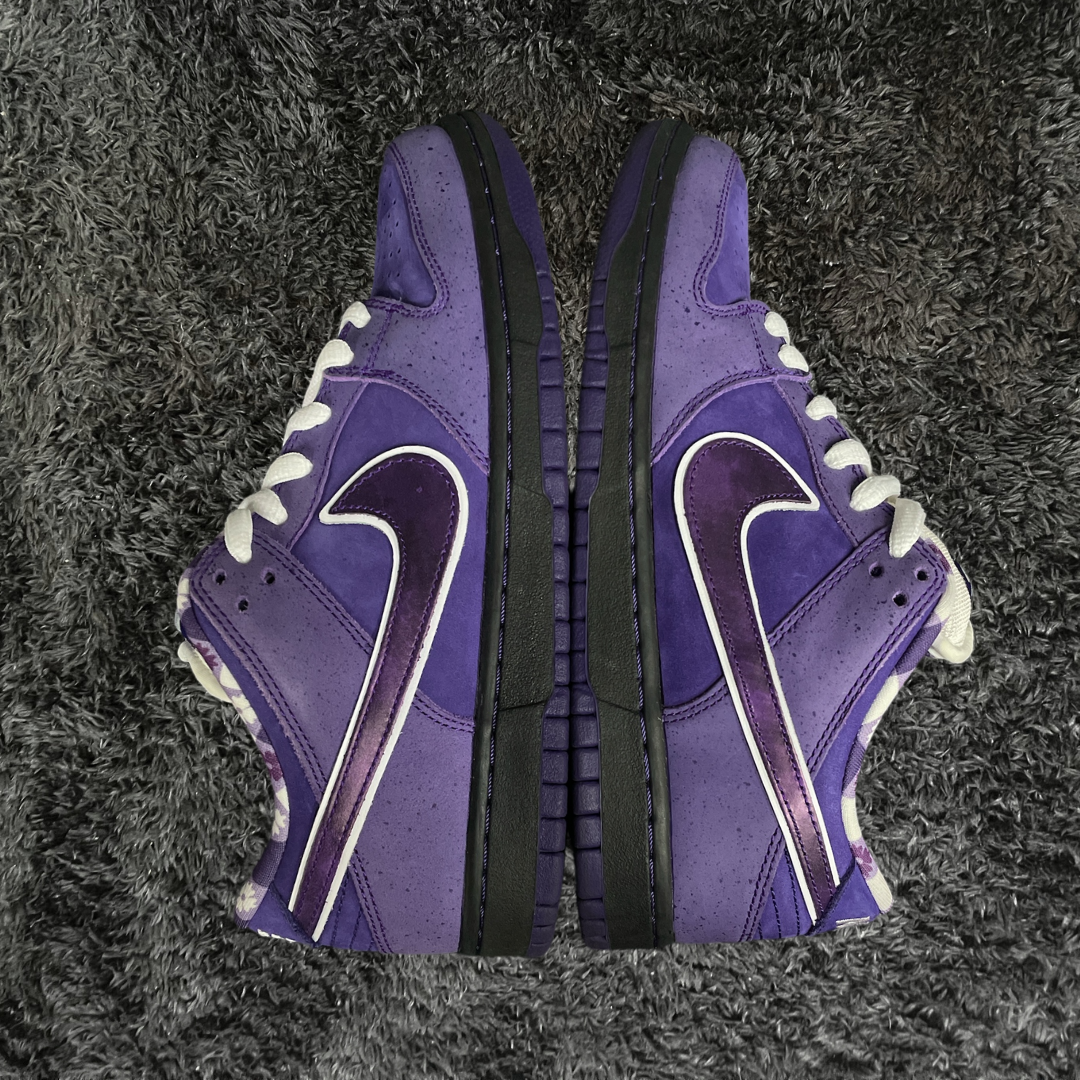 Dunk SB Low	Concepts Purple Lobster Special Box & Laces (De uso)