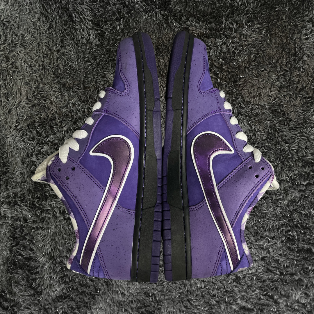 Dunk SB Low	Concepts Purple Lobster Special Box & Laces (De uso)