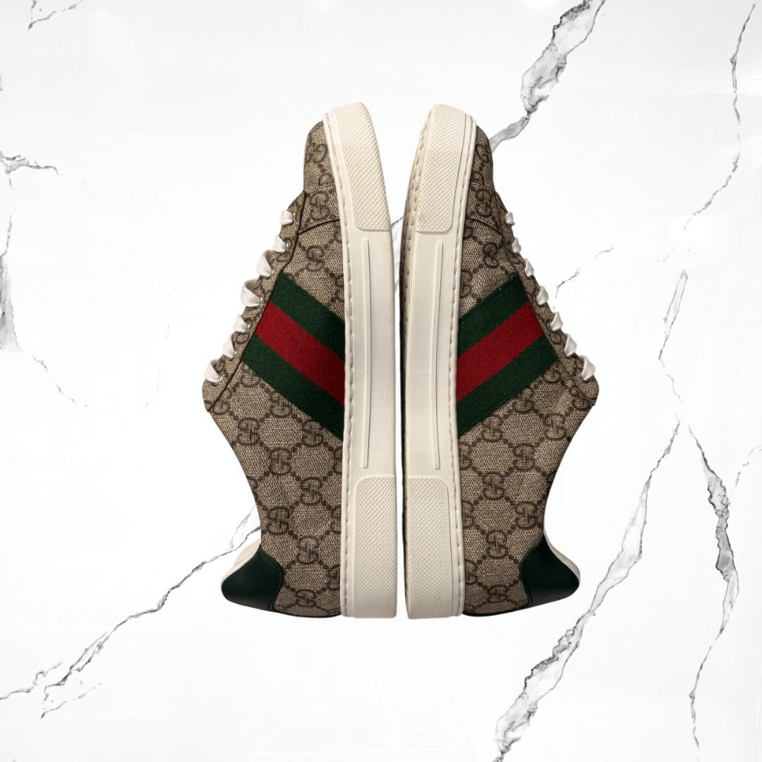 Gucci ACE Tribanda Web (De Uso) - Urban Utility
