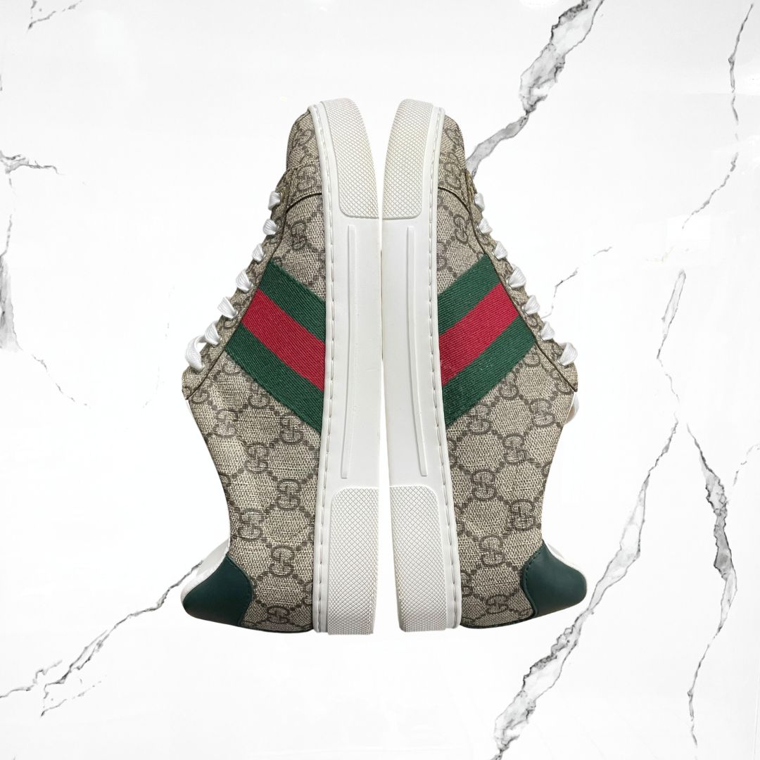 Gucci ACE Tribanda Web (De Uso) - Urban Utility
