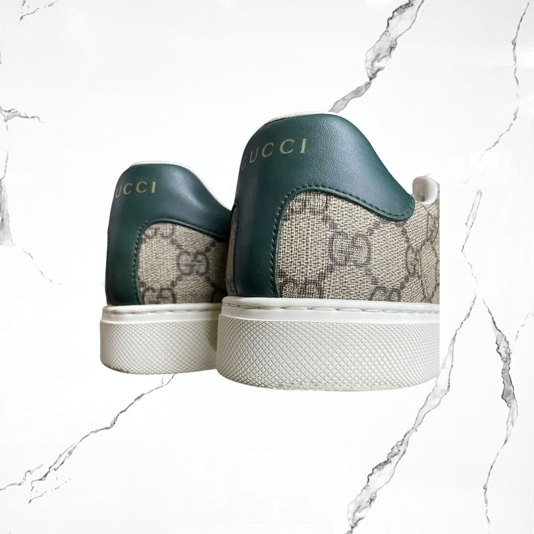 Gucci ACE Tribanda Web (De Uso) - Urban Utility