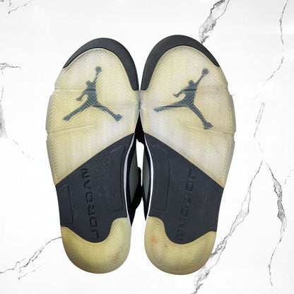 Jordan 5 Retro Moonlight (2021) (De Uso)