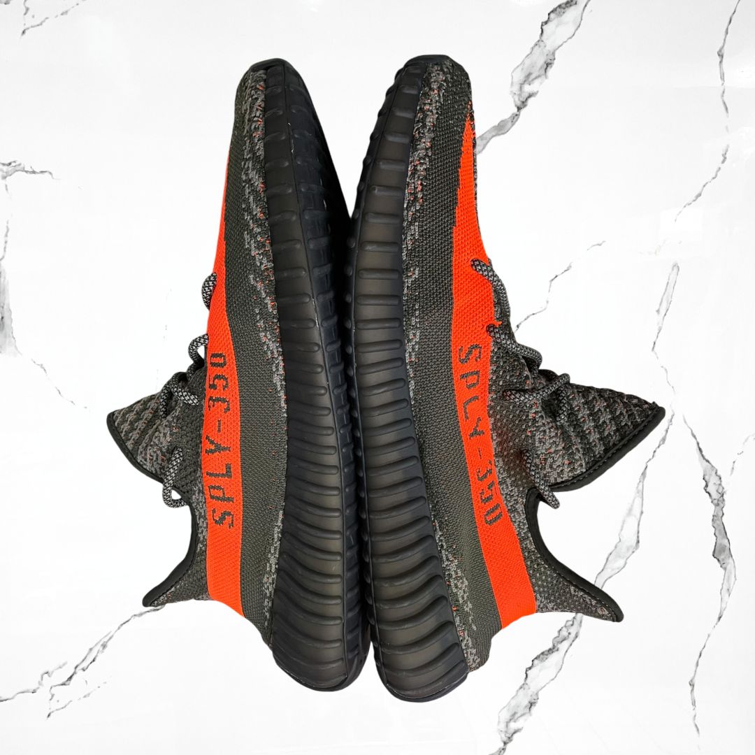 Adidas Yeezy Boost 350 V2 Carbon Beluga (De Uso) - Urban Utility