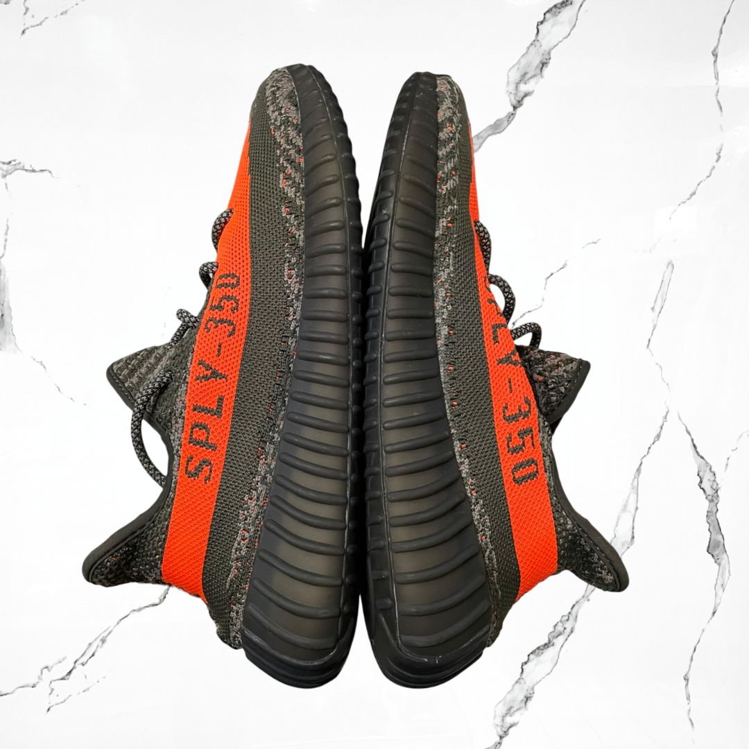 Adidas Yeezy Boost 350 V2 Carbon Beluga (De Uso)