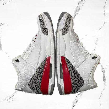 Jordan 3 Retro Hall of Fame (De Uso)