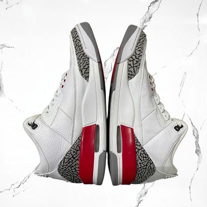 Jordan 3 Retro Hall of Fame (De Uso)