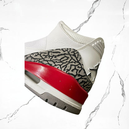 Jordan 3 Retro Hall of Fame (De Uso)