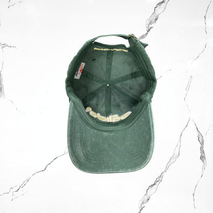 Palida Dad Hat Box Logo Verde Bandera