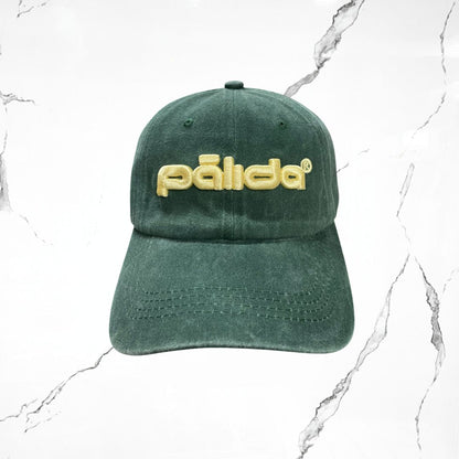 Palida Dad Hat Box Logo Verde Bandera