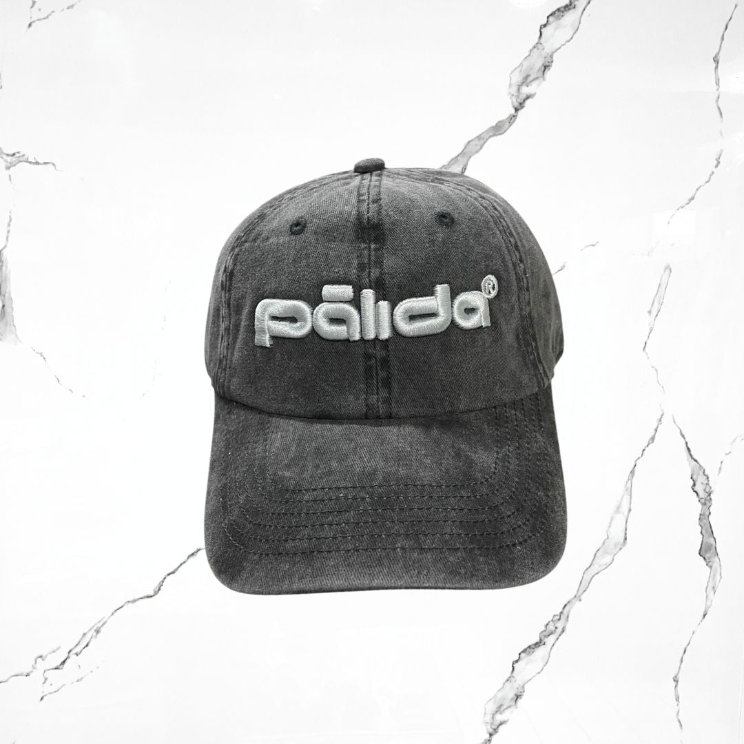 Palida Dad Hat Box Logo Grey Cap