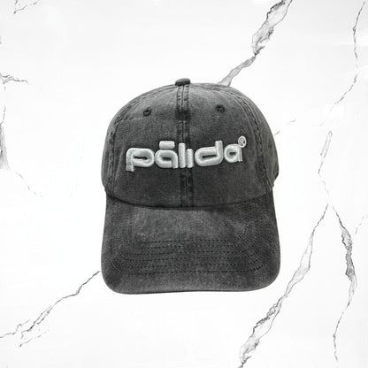 Palida Dad Hat Box Logo Grey Cap