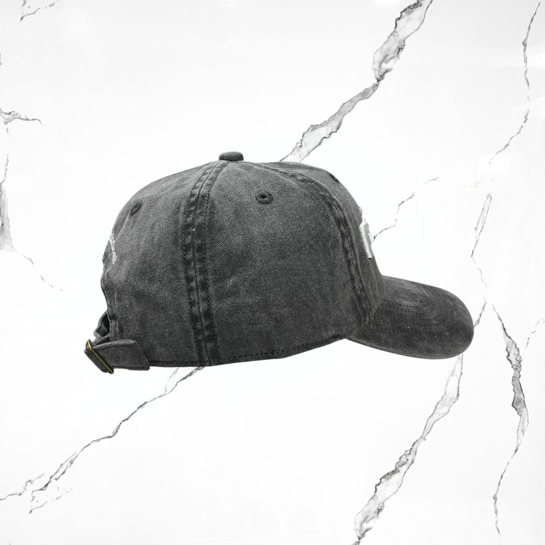 Palida Dad Hat Box Logo Grey Cap