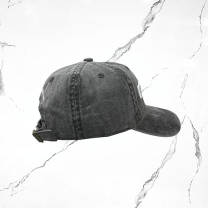 Palida Dad Hat Box Logo Grey Cap