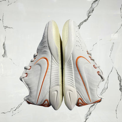 Lebron 21 Akoya (De Uso) - Urban Utility